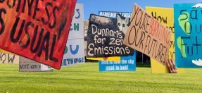 Environment protest signs 