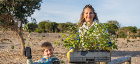 Mother and child planting tree in the dunes