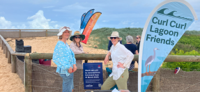 People standing in the dunes at Curl Curl