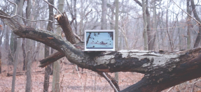 Artist Ryota Sato - work entitled Showing Nature the wonders of Nature