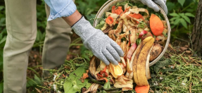 Gardner in gloves scrapes food scraps into compost