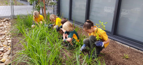 School children planting trees