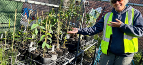 Lady stands in front of small plants in nursery