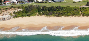 Dog off-leash area at Mona Vale Beach