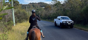 Horse and rider with car