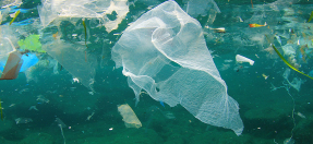 plastic_bag_in_ocean.jpg