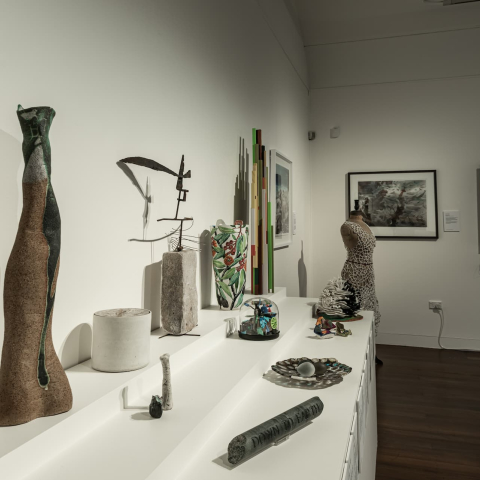EADP_2022_-_Manly_Art_Gallery_Museum_-_exhibition_view_14._Photo_by_Greg_Piper.jpg