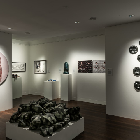 EADP_2022_-_Manly_Art_Gallery_Museum_-_exhibition_view_17._Photo_by_Greg_Piper.jpg