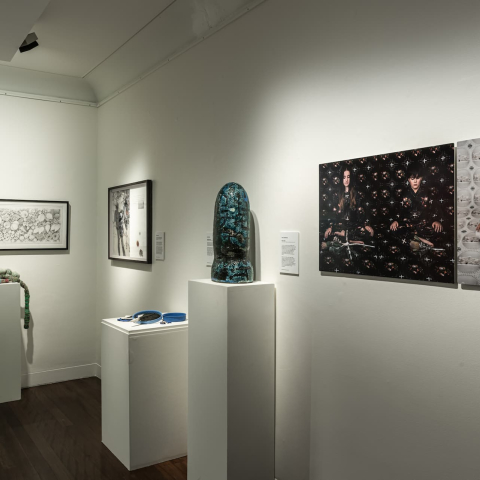 EADP_2022_-_Manly_Art_Gallery_Museum_-_exhibition_view_22._Photo_by_Greg_Piper.jpg