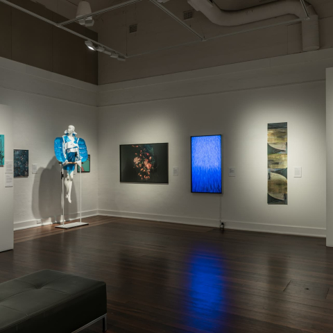 EADP_2022_-_Manly_Art_Gallery_Museum_-_exhibition_view_24._Photo_by_Greg_Piper.jpg