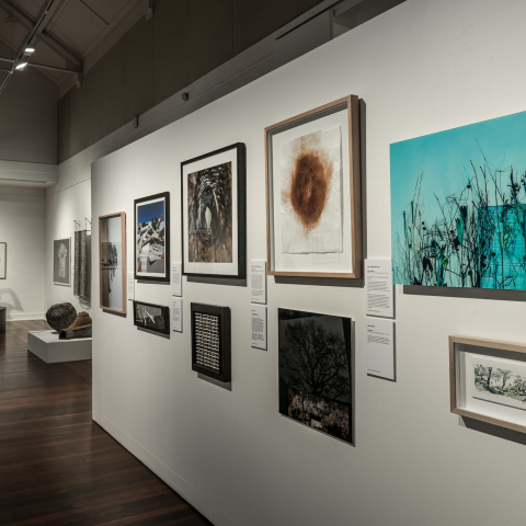 EADP_2022_-_Manly_Art_Gallery_Museum_-_exhibition_view_25._Photo_by_Greg_Piper.jpg