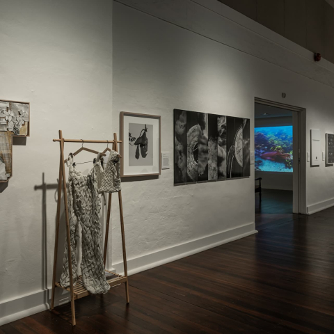 EADP_2022_-_Manly_Art_Gallery_Museum_-_exhibition_view_26._Photo_by_Greg_Piper.jpg