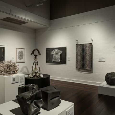 EADP_2022_-_Manly_Art_Gallery_Museum_-_exhibition_view_27._Photo_by_Greg_Piper.jpg