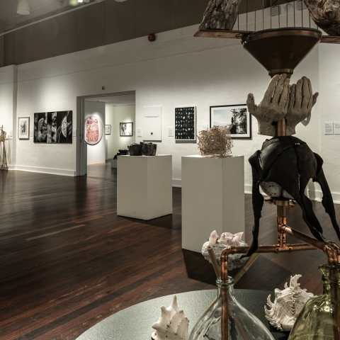 EADP_2022_-_Manly_Art_Gallery_Museum_-_exhibition_view_29._Photo_by_Greg_Piper.jpg