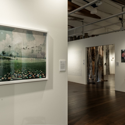 EADP_2022_-_Manly_Art_Gallery_Museum_-_exhibition_view_4._Photo_by_Greg_Piper.jpg