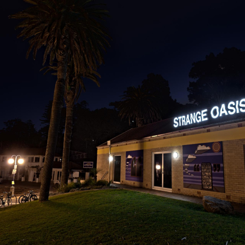 Strange Oasis, 2023 - Elliott Routledge - Manly Art Gallery and Museum - Image courtesy Laura Moore