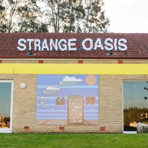 Strange Oasis, 2023 - Elliott Routledge - Manly Art Gallery and Museum - Image courtesy Laura Moore