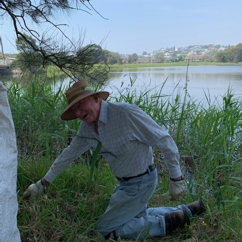Ray Cox weeding John Fisher Park 