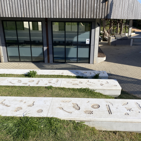 Artwork embedded into concrete slabs in garden