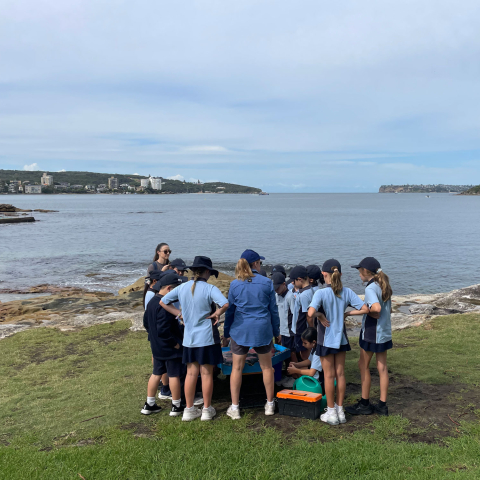 School children exploring 