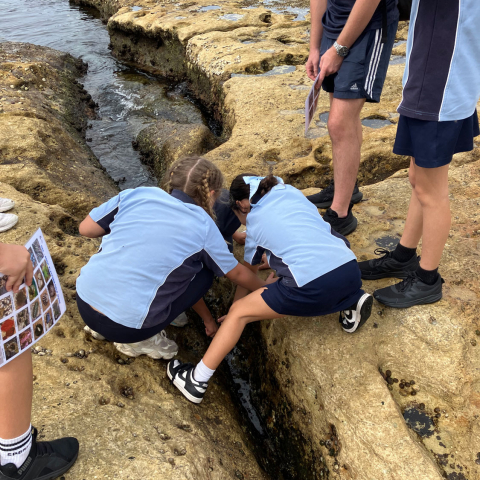 School children exploring rocks