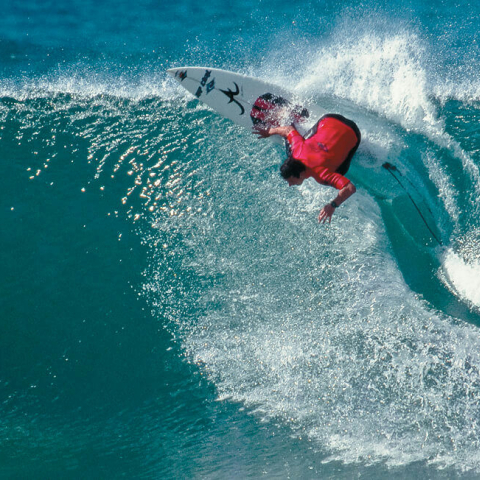 Damien Hardman Photo